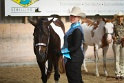 23-APHA SS_038